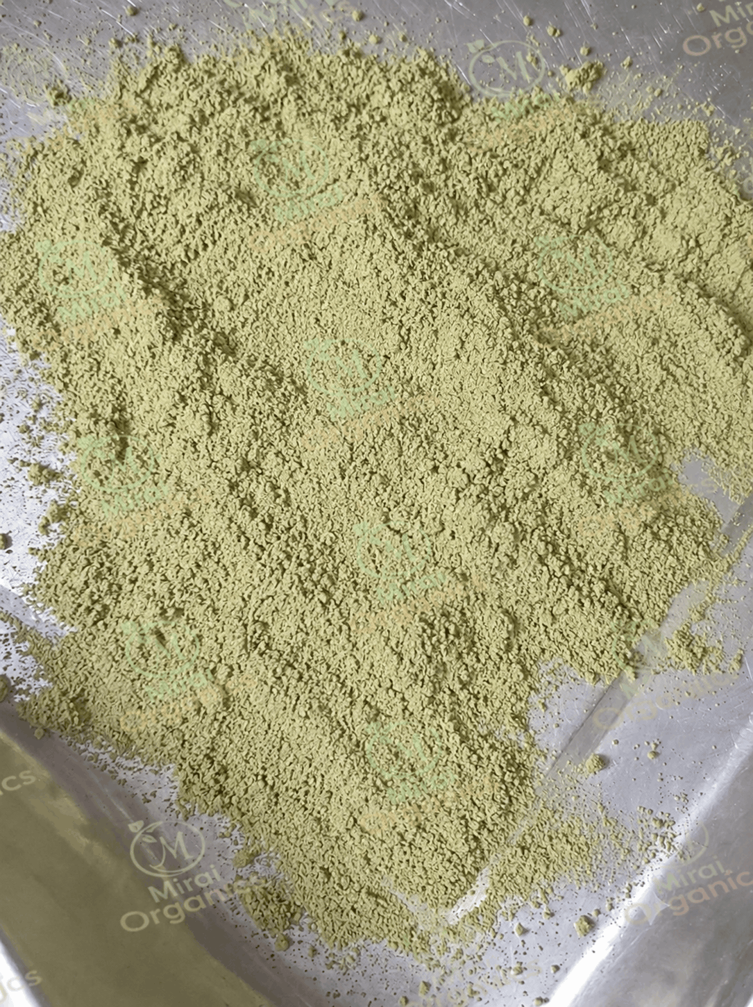 Dehydrated Cucumber Powder